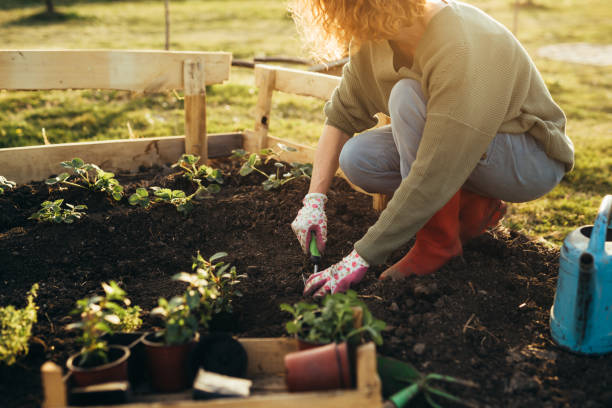 Основы садоводства: выбор растений, уход, борьба с вредителями.